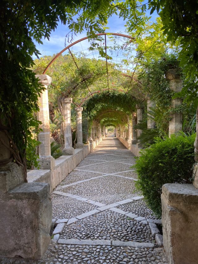 Schöner Garten im Norden Mallorcas